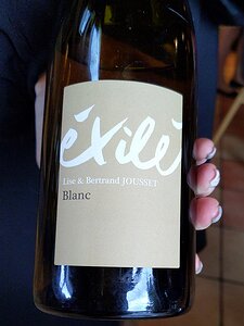 20221116_PXL114231189.MP_Pixel3a-JEB